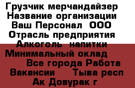 Грузчик-мерчандайзер › Название организации ­ Ваш Персонал, ООО › Отрасль предприятия ­ Алкоголь, напитки › Минимальный оклад ­ 17 000 - Все города Работа » Вакансии   . Тыва респ.,Ак-Довурак г.